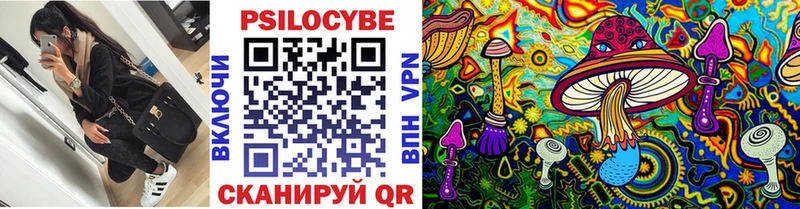 купить   Боровичи  Псилоцибиновые грибы Psilocybine cubensis 